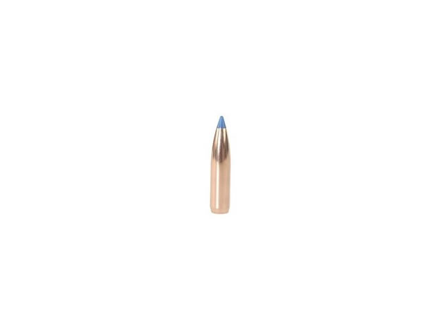 Palle-NOSLER-BALLISTIC-TIP-308-165-GR-SP-50-Pz